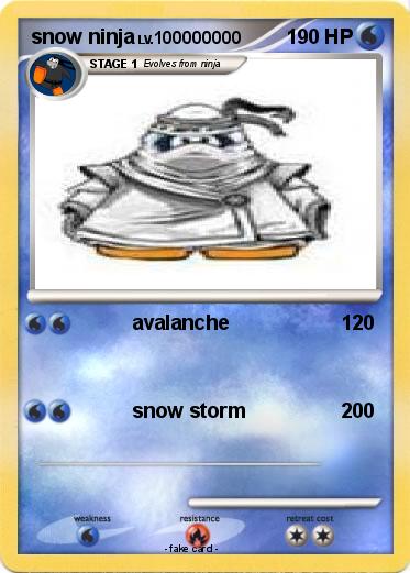 Pokemon snow ninja