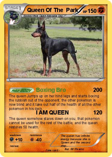 Pokemon Queen Of The  Park