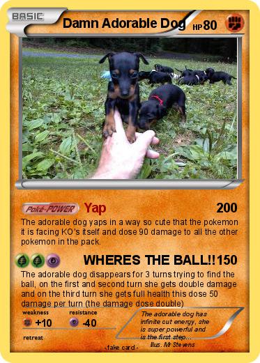 Pokemon Damn Adorable Dog