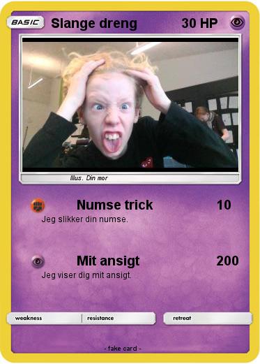 Pokemon Slange dreng