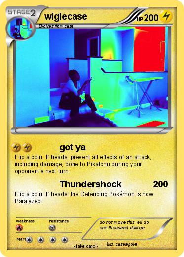 Pokemon wiglecase