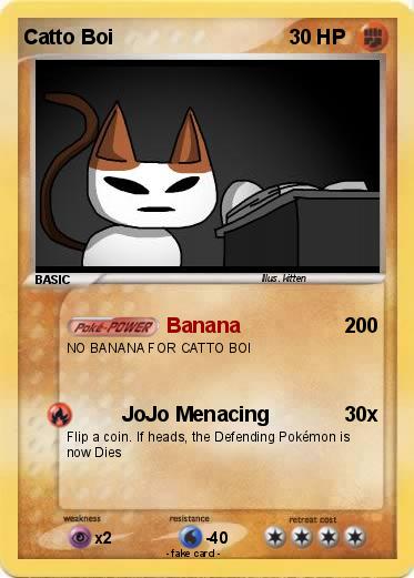 Pokemon Catto Boi