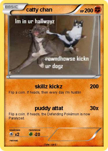 Pokemon catty chan