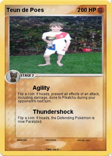 Pokemon Teun de Poes