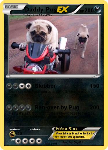 Pokemon Daddy Pug