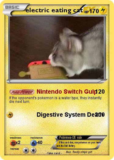 Pokemon electric eating cat