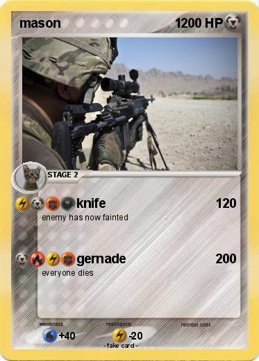 Pokemon mason                                1