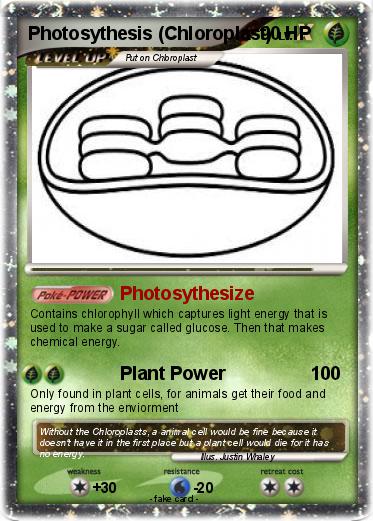 Pokemon Photosythesis (Chloroplast)