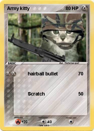Pokemon Army kitty