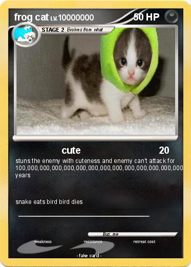 Pokemon frog cat
