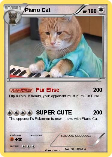 Pokemon Piano Cat