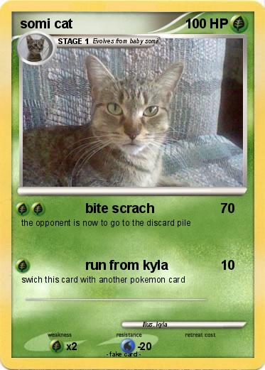 Pokemon somi cat