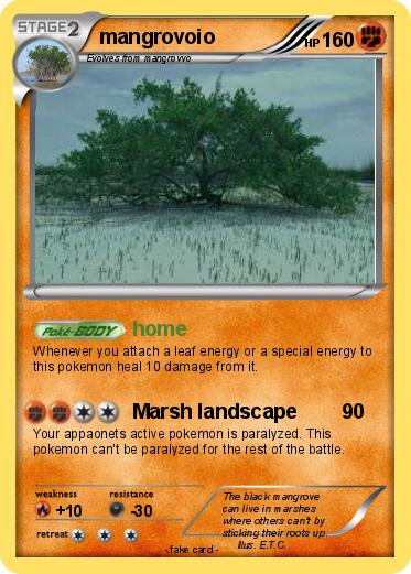 Pokemon mangrovoio