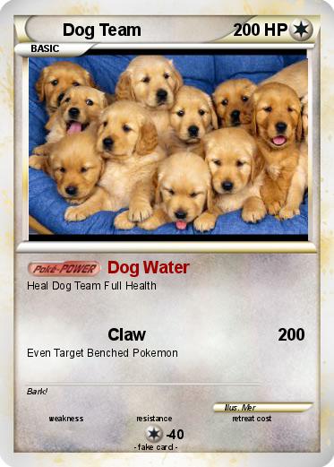 Pokemon Dog Team