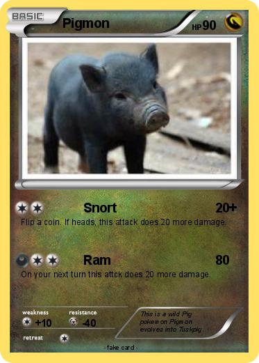 Pokemon Pigmon