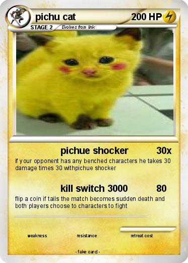 Pokemon pichu cat