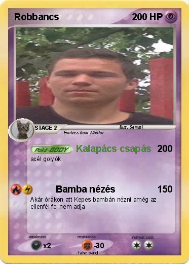 Pokemon Robbancs