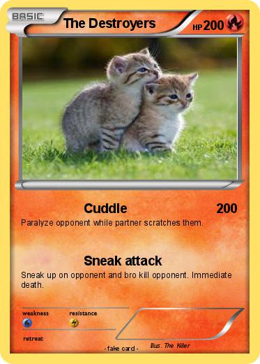 Pokemon The Destroyers