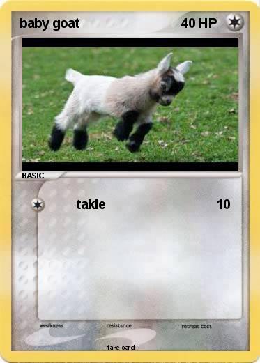 Pokemon baby goat