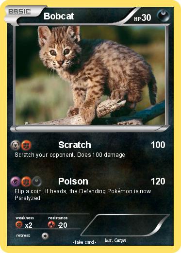 Pokemon Bobcat