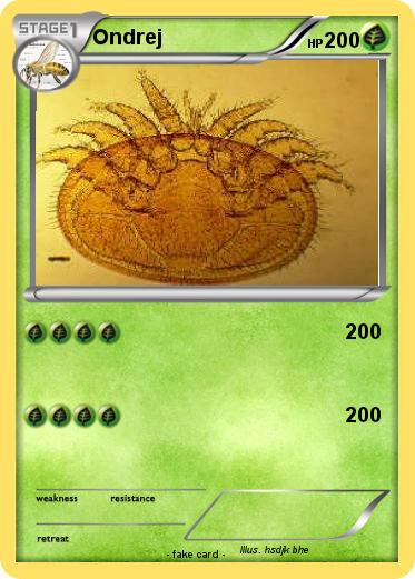Pokemon Ondrej