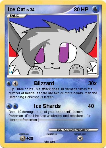 Pokemon Ice Cat