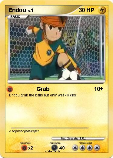 Pokemon Endou