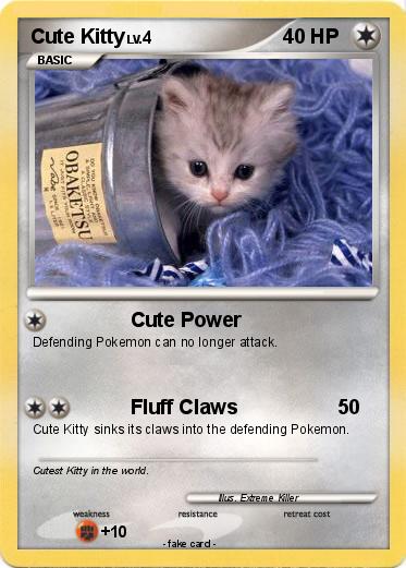 Pokemon Cute Kitty