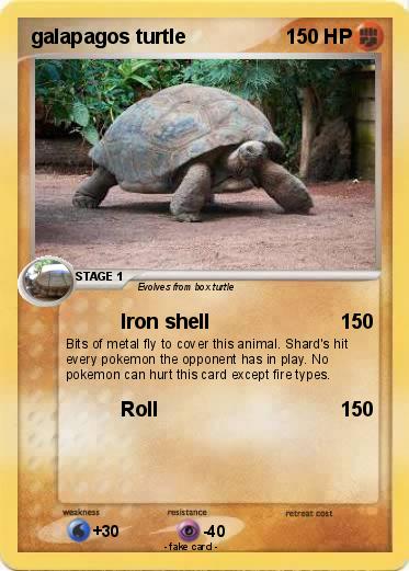 Pokemon galapagos turtle