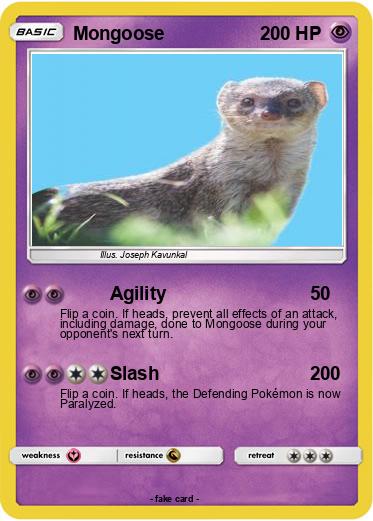 Pokemon Mongoose