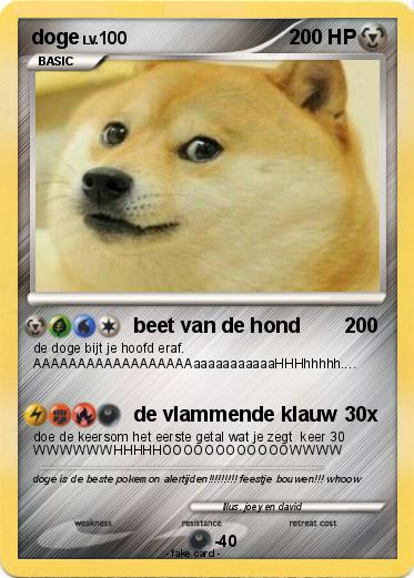 Pokemon doge