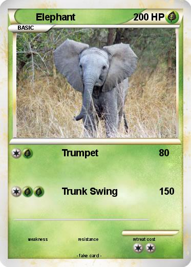 Pokemon Elephant