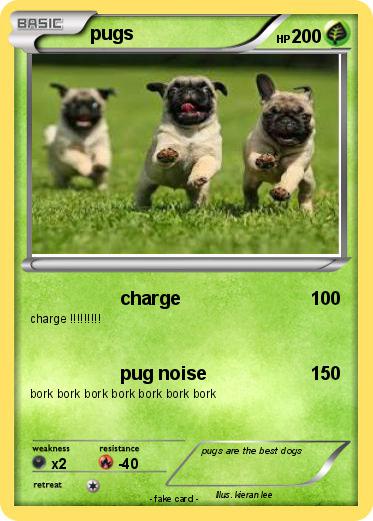 Pokemon pugs