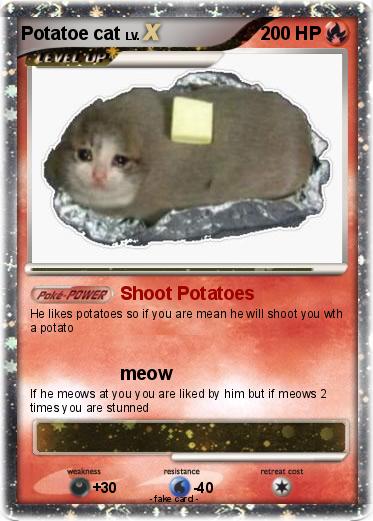 Pokemon Potatoe cat
