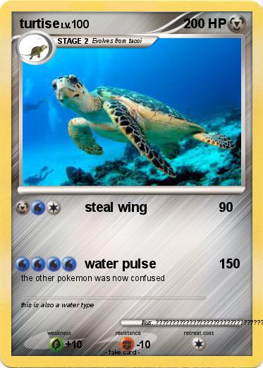Pokemon turtise