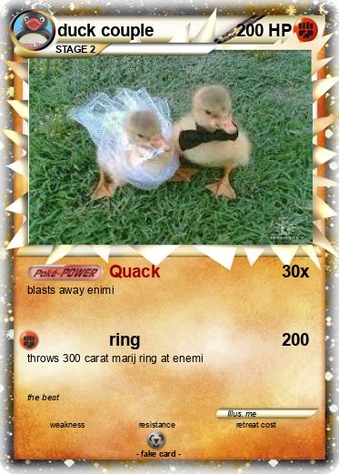 Pokemon duck couple