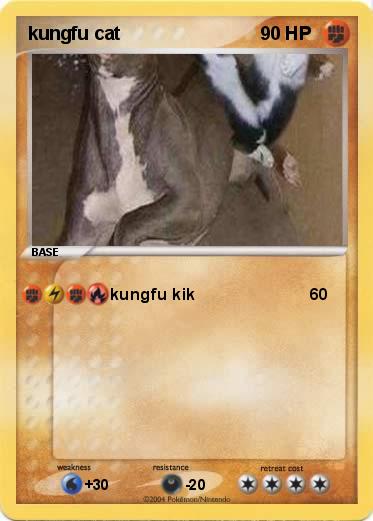 Pokemon kungfu cat