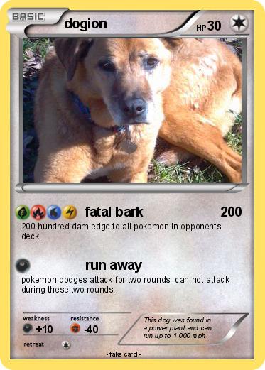 Pokemon dogion