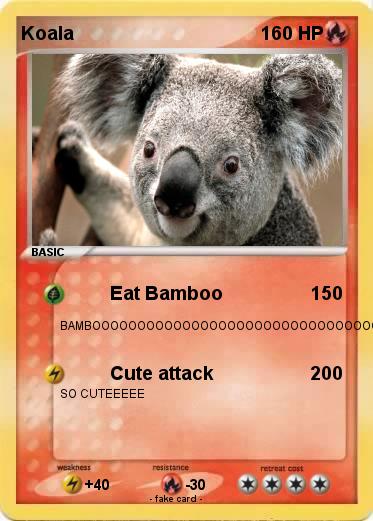 Pokemon Koala