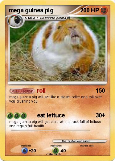 Pokemon mega guinea pig