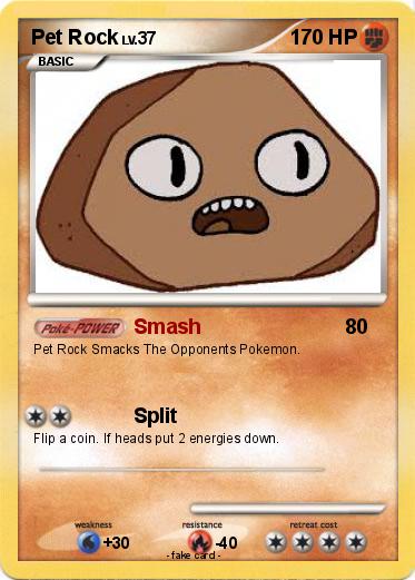 Pokemon Pet Rock
