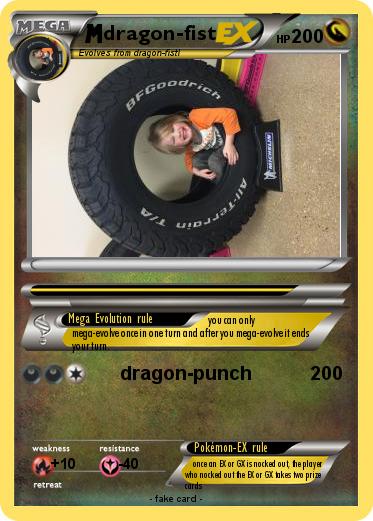 Pokemon dragon-fist