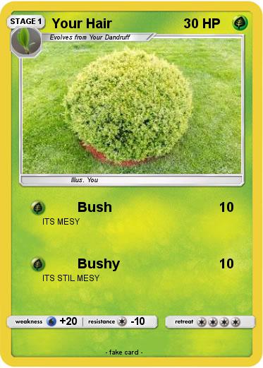 Pokemon Your Hair