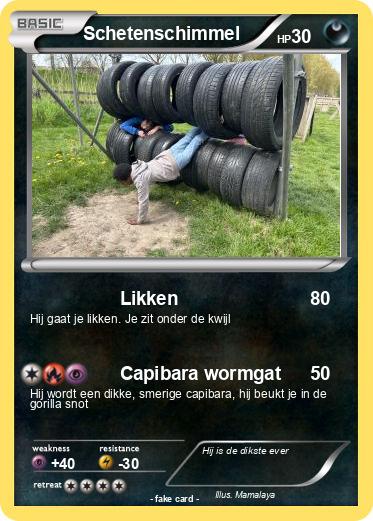 Pokemon Schetenschimmel
