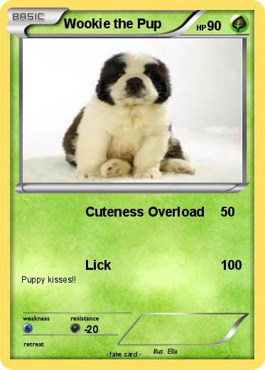 Pokemon Wookie the Pup