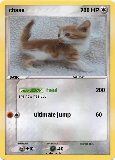 Pokemon chase