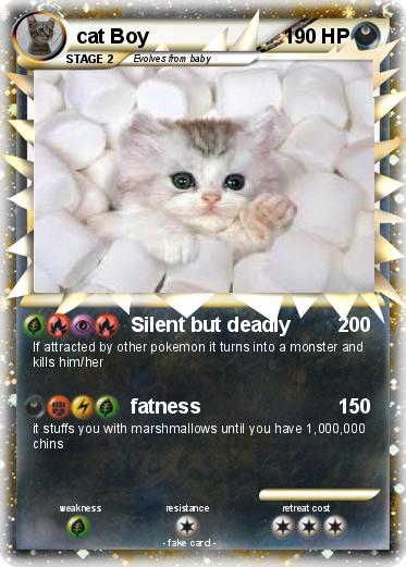 Pokemon cat Boy
