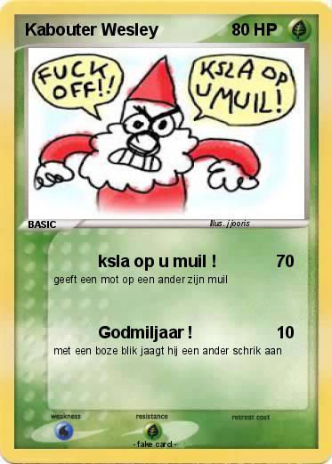 Pokemon Kabouter Wesley