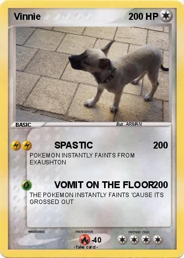Pokemon Vinnie