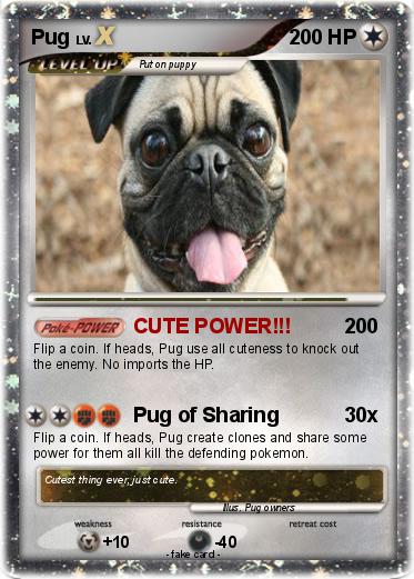 Pokemon Pug